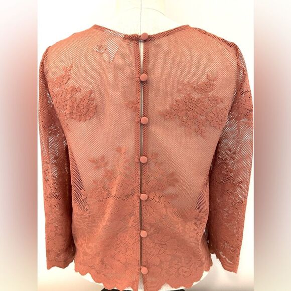 Forever 21 Exclusive Sheer Mesh Floral Lace Crop Top size Small - Picture 3 of 11